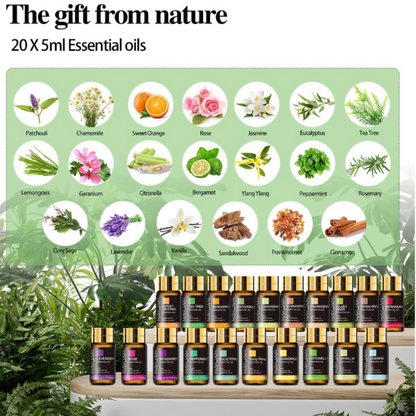 Essential Oils Set 20 Pcs - 100% Pure & Natural 5ml Set Pure Essential Oils for Diffusers Fragrance Oil Scented Oil